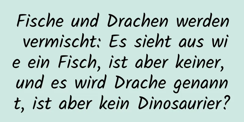 Fische und Drachen werden vermischt: Es sieht aus wie ein Fisch, ist aber keiner, und es wird Drache genannt, ist aber kein Dinosaurier?