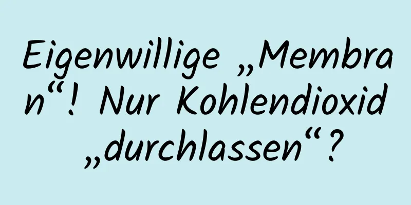 Eigenwillige „Membran“! Nur Kohlendioxid „durchlassen“?
