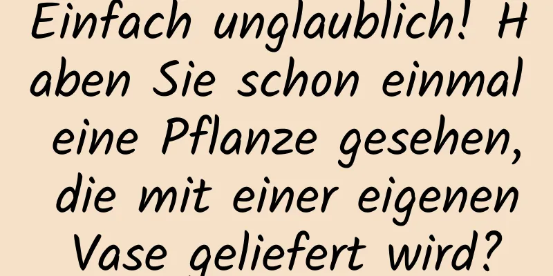 Einfach unglaublich! Haben Sie schon einmal eine Pflanze gesehen, die mit einer eigenen Vase geliefert wird?