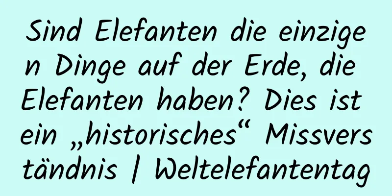 Sind Elefanten die einzigen Dinge auf der Erde, die Elefanten haben? Dies ist ein „historisches“ Missverständnis | Weltelefantentag