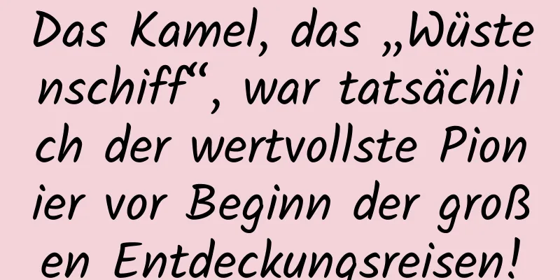 Das Kamel, das „Wüstenschiff“, war tatsächlich der wertvollste Pionier vor Beginn der großen Entdeckungsreisen!