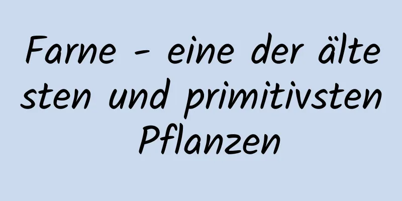 Farne - eine der ältesten und primitivsten Pflanzen