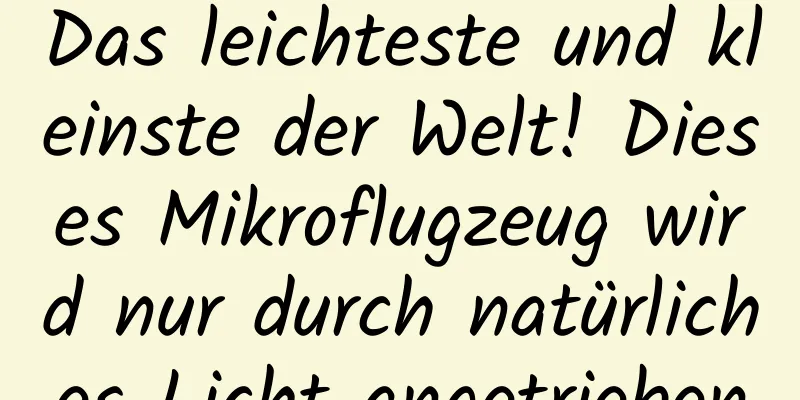 Das leichteste und kleinste der Welt! Dieses Mikroflugzeug wird nur durch natürliches Licht angetrieben