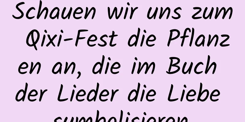 Schauen wir uns zum Qixi-Fest die Pflanzen an, die im Buch der Lieder die Liebe symbolisieren.