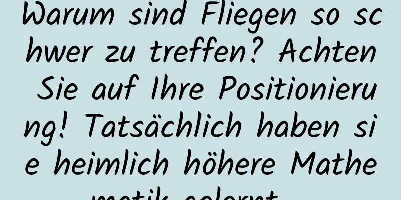 Warum sind Fliegen so schwer zu treffen? Achten Sie auf Ihre Positionierung! Tatsächlich haben sie heimlich höhere Mathematik gelernt …