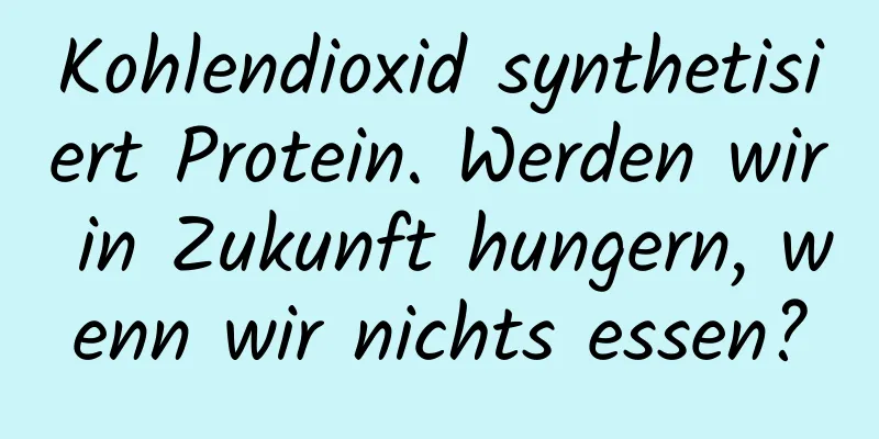 Kohlendioxid synthetisiert Protein. Werden wir in Zukunft hungern, wenn wir nichts essen?