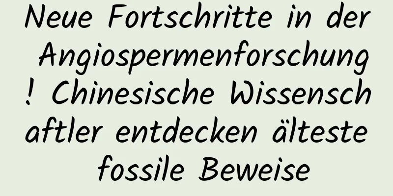 Neue Fortschritte in der Angiospermenforschung! Chinesische Wissenschaftler entdecken älteste fossile Beweise