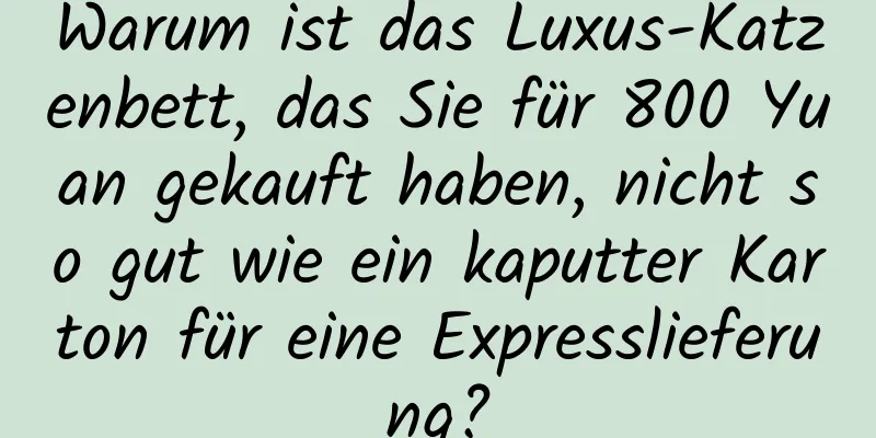 Warum ist das Luxus-Katzenbett, das Sie für 800 Yuan gekauft haben, nicht so gut wie ein kaputter Karton für eine Expresslieferung?
