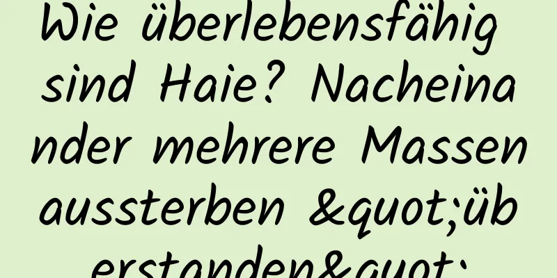 Wie überlebensfähig sind Haie? Nacheinander mehrere Massenaussterben "überstanden"