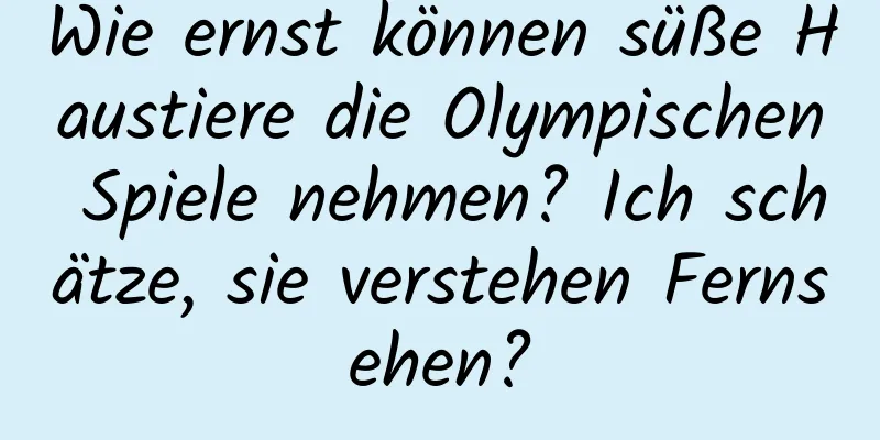 Wie ernst können süße Haustiere die Olympischen Spiele nehmen? Ich schätze, sie verstehen Fernsehen?