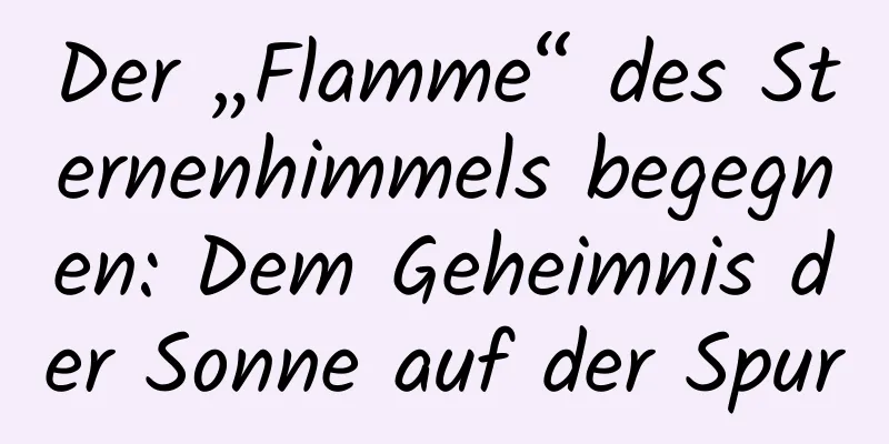 Der „Flamme“ des Sternenhimmels begegnen: Dem Geheimnis der Sonne auf der Spur
