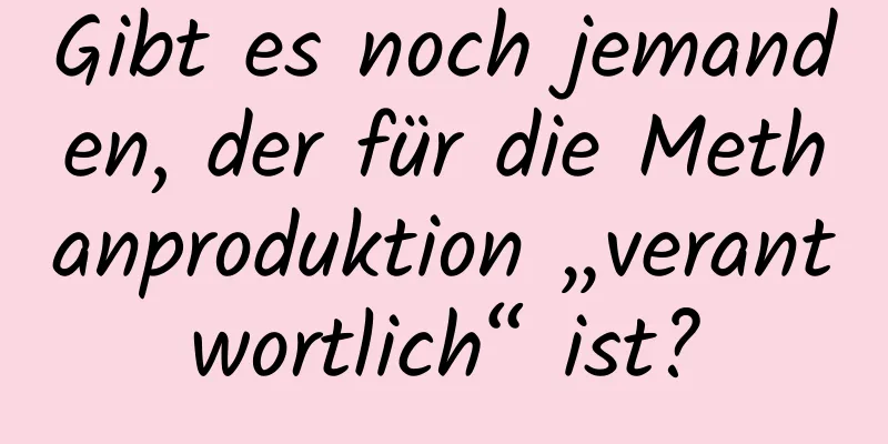 Gibt es noch jemanden, der für die Methanproduktion „verantwortlich“ ist?
