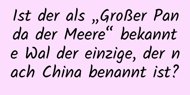 Ist der als „Großer Panda der Meere“ bekannte Wal der einzige, der nach China benannt ist?