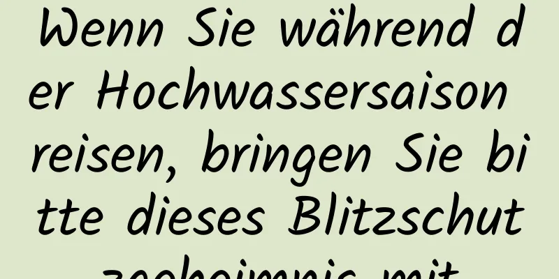 Wenn Sie während der Hochwassersaison reisen, bringen Sie bitte dieses Blitzschutzgeheimnis mit