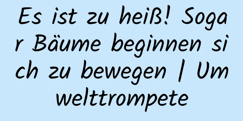Es ist zu heiß! Sogar Bäume beginnen sich zu bewegen | Umwelttrompete