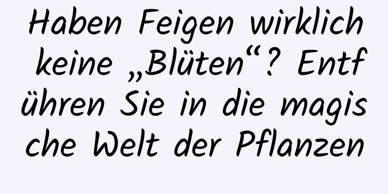 Haben Feigen wirklich keine „Blüten“? Entführen Sie in die magische Welt der Pflanzen