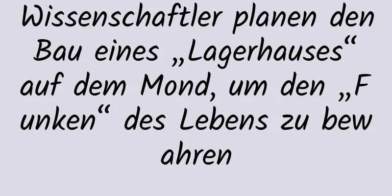 Wissenschaftler planen den Bau eines „Lagerhauses“ auf dem Mond, um den „Funken“ des Lebens zu bewahren