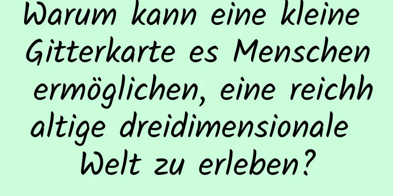 Warum kann eine kleine Gitterkarte es Menschen ermöglichen, eine reichhaltige dreidimensionale Welt zu erleben?