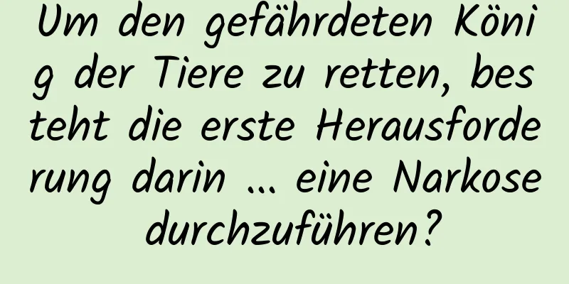 Um den gefährdeten König der Tiere zu retten, besteht die erste Herausforderung darin ... eine Narkose durchzuführen?
