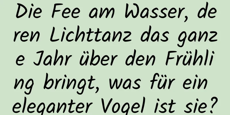 Die Fee am Wasser, deren Lichttanz das ganze Jahr über den Frühling bringt, was für ein eleganter Vogel ist sie?