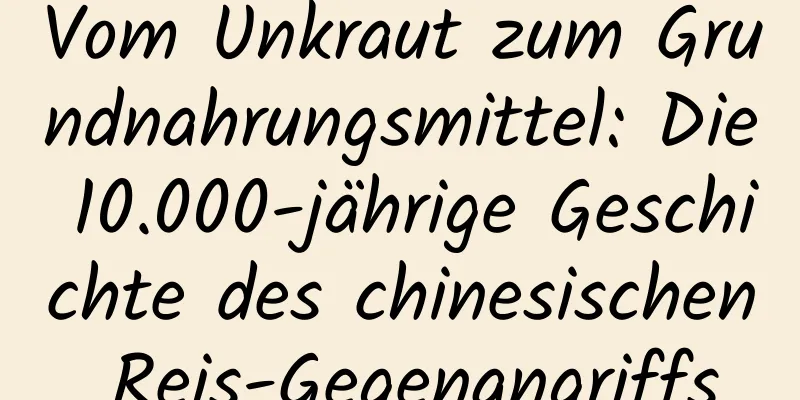 Vom Unkraut zum Grundnahrungsmittel: Die 10.000-jährige Geschichte des chinesischen Reis-Gegenangriffs