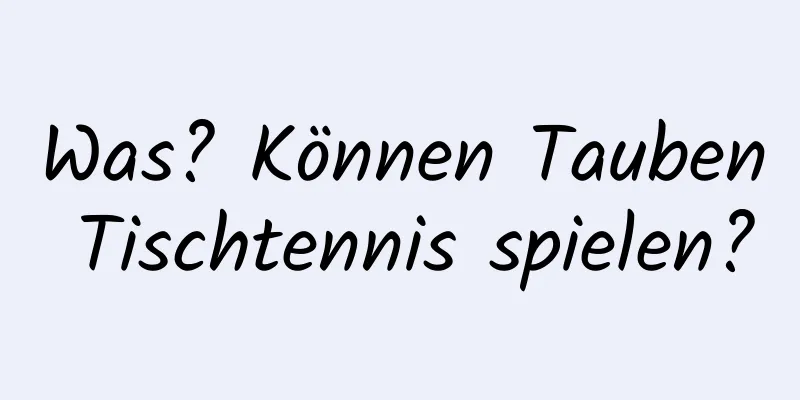 Was? Können Tauben Tischtennis spielen?