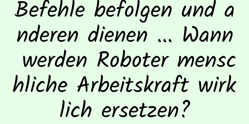 Befehle befolgen und anderen dienen ... Wann werden Roboter menschliche Arbeitskraft wirklich ersetzen?