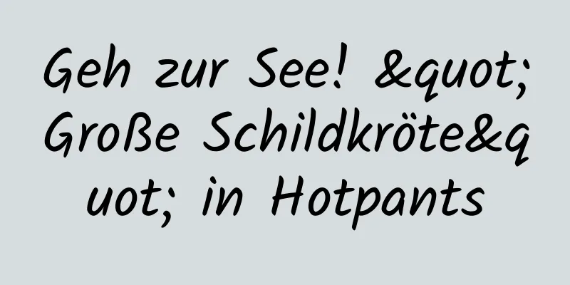 Geh zur See! "Große Schildkröte" in Hotpants