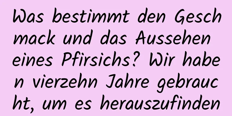 Was bestimmt den Geschmack und das Aussehen eines Pfirsichs? Wir haben vierzehn Jahre gebraucht, um es herauszufinden