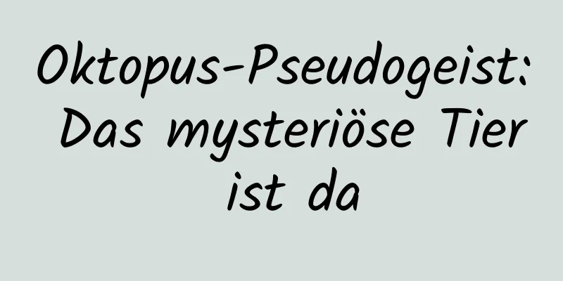 Oktopus-Pseudogeist: Das mysteriöse Tier ist da