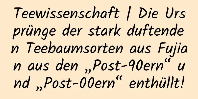 Teewissenschaft | Die Ursprünge der stark duftenden Teebaumsorten aus Fujian aus den „Post-90ern“ und „Post-00ern“ enthüllt!