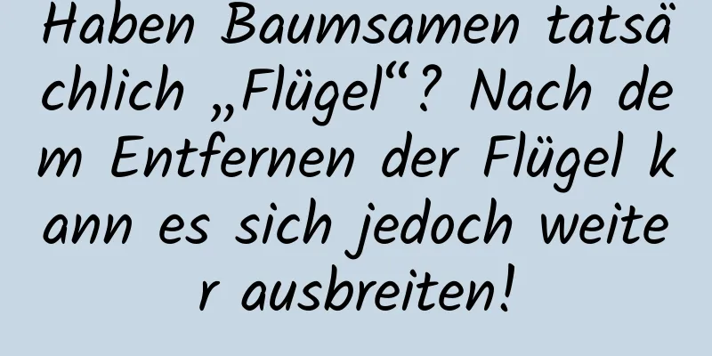 Haben Baumsamen tatsächlich „Flügel“? Nach dem Entfernen der Flügel kann es sich jedoch weiter ausbreiten!