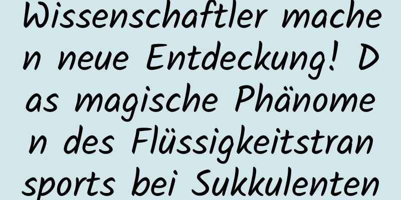 Wissenschaftler machen neue Entdeckung! Das magische Phänomen des Flüssigkeitstransports bei Sukkulenten