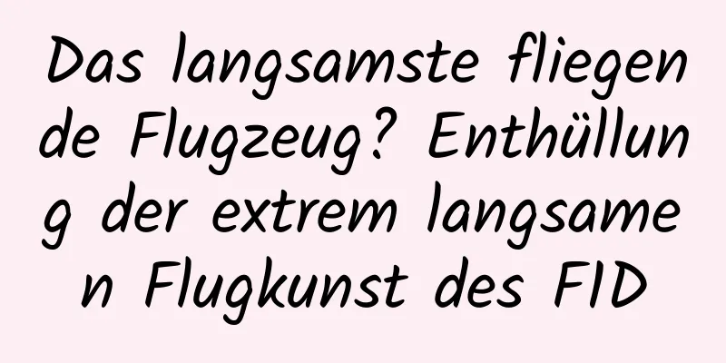 Das langsamste fliegende Flugzeug? Enthüllung der extrem langsamen Flugkunst des F1D