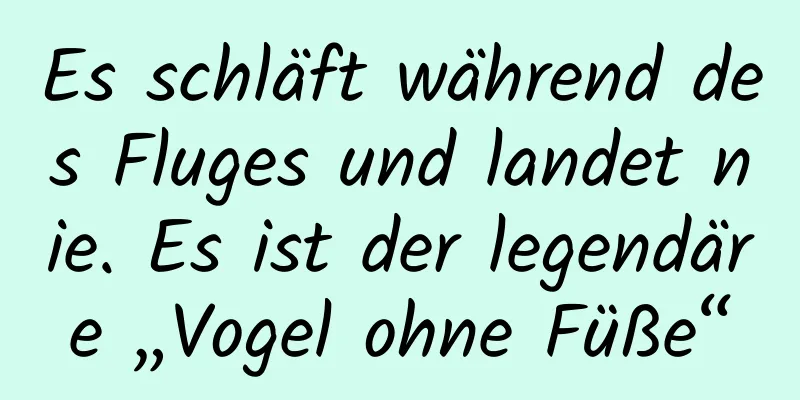 Es schläft während des Fluges und landet nie. Es ist der legendäre „Vogel ohne Füße“