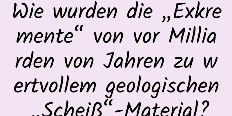 Wie wurden die „Exkremente“ von vor Milliarden von Jahren zu wertvollem geologischen „Scheiß“-Material?
