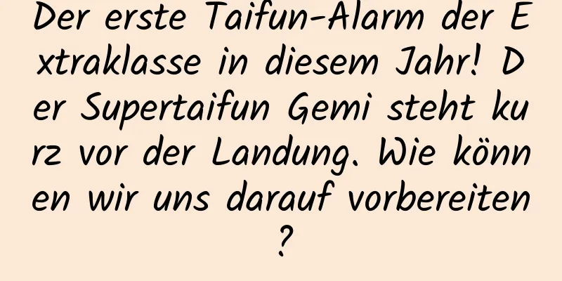 Der erste Taifun-Alarm der Extraklasse in diesem Jahr! Der Supertaifun Gemi steht kurz vor der Landung. Wie können wir uns darauf vorbereiten?