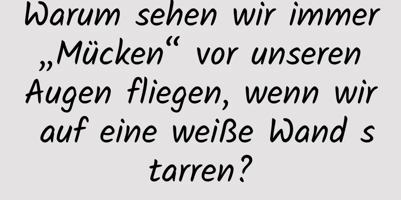 Warum sehen wir immer „Mücken“ vor unseren Augen fliegen, wenn wir auf eine weiße Wand starren?