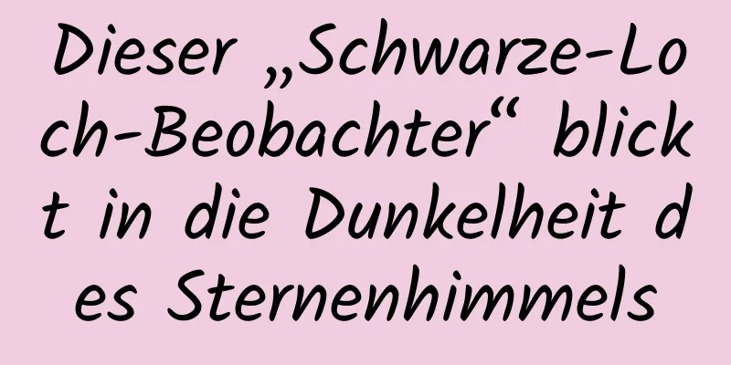 Dieser „Schwarze-Loch-Beobachter“ blickt in die Dunkelheit des Sternenhimmels