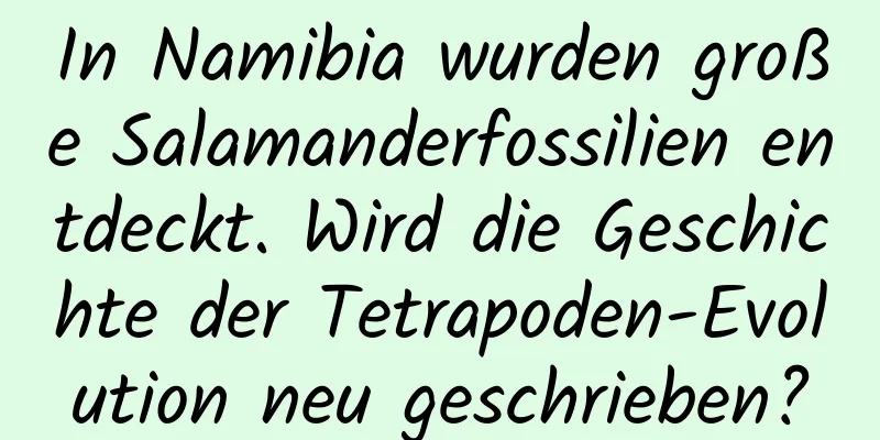 In Namibia wurden große Salamanderfossilien entdeckt. Wird die Geschichte der Tetrapoden-Evolution neu geschrieben?