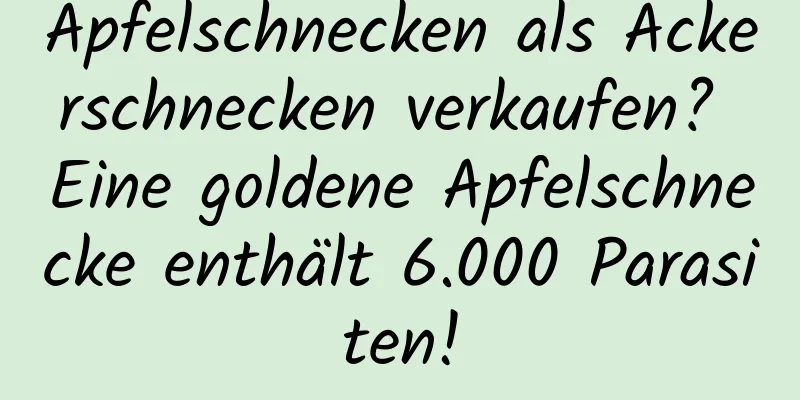 Apfelschnecken als Ackerschnecken verkaufen? Eine goldene Apfelschnecke enthält 6.000 Parasiten!