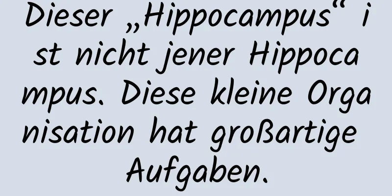 Dieser „Hippocampus“ ist nicht jener Hippocampus. Diese kleine Organisation hat großartige Aufgaben.