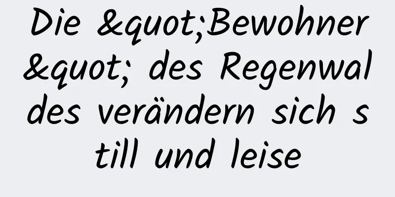 Die "Bewohner" des Regenwaldes verändern sich still und leise