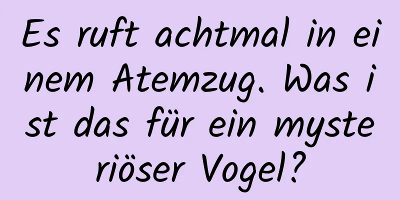 Es ruft achtmal in einem Atemzug. Was ist das für ein mysteriöser Vogel?