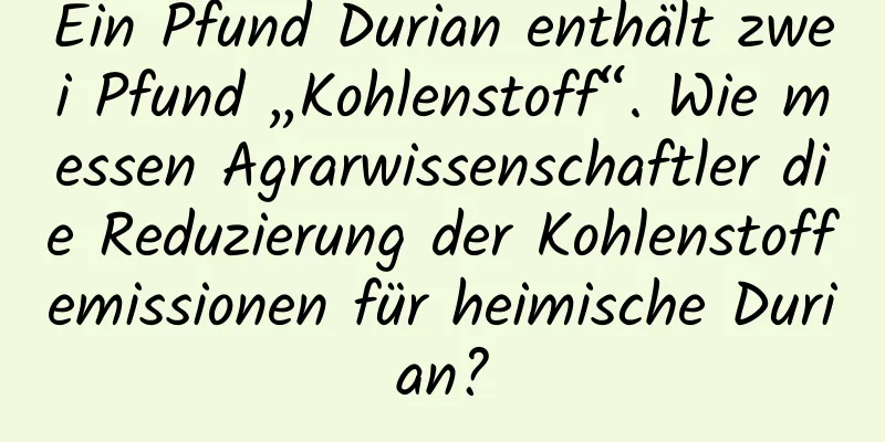 Ein Pfund Durian enthält zwei Pfund „Kohlenstoff“. Wie messen Agrarwissenschaftler die Reduzierung der Kohlenstoffemissionen für heimische Durian?