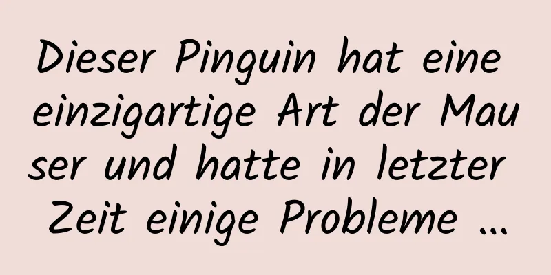 Dieser Pinguin hat eine einzigartige Art der Mauser und hatte in letzter Zeit einige Probleme …