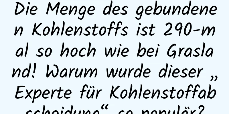 Die Menge des gebundenen Kohlenstoffs ist 290-mal so hoch wie bei Grasland! Warum wurde dieser „Experte für Kohlenstoffabscheidung“ so populär?