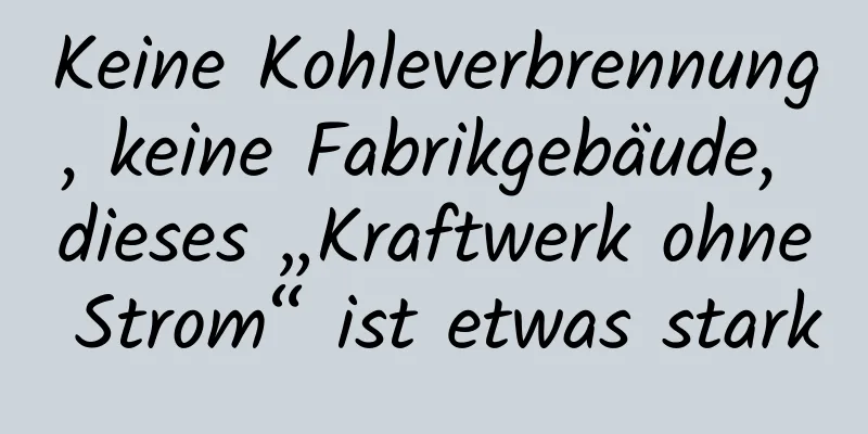 Keine Kohleverbrennung, keine Fabrikgebäude, dieses „Kraftwerk ohne Strom“ ist etwas stark
