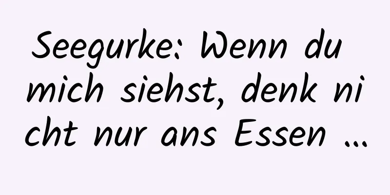 Seegurke: Wenn du mich siehst, denk nicht nur ans Essen …