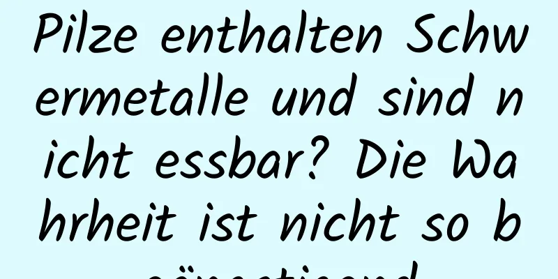 Pilze enthalten Schwermetalle und sind nicht essbar? Die Wahrheit ist nicht so beängstigend